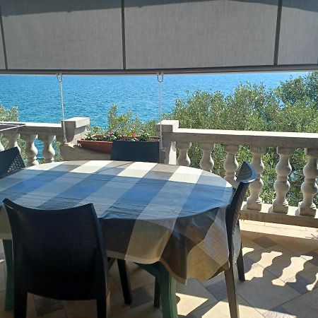 Apartman Antonio Διαμέρισμα Bibinje Εξωτερικό φωτογραφία